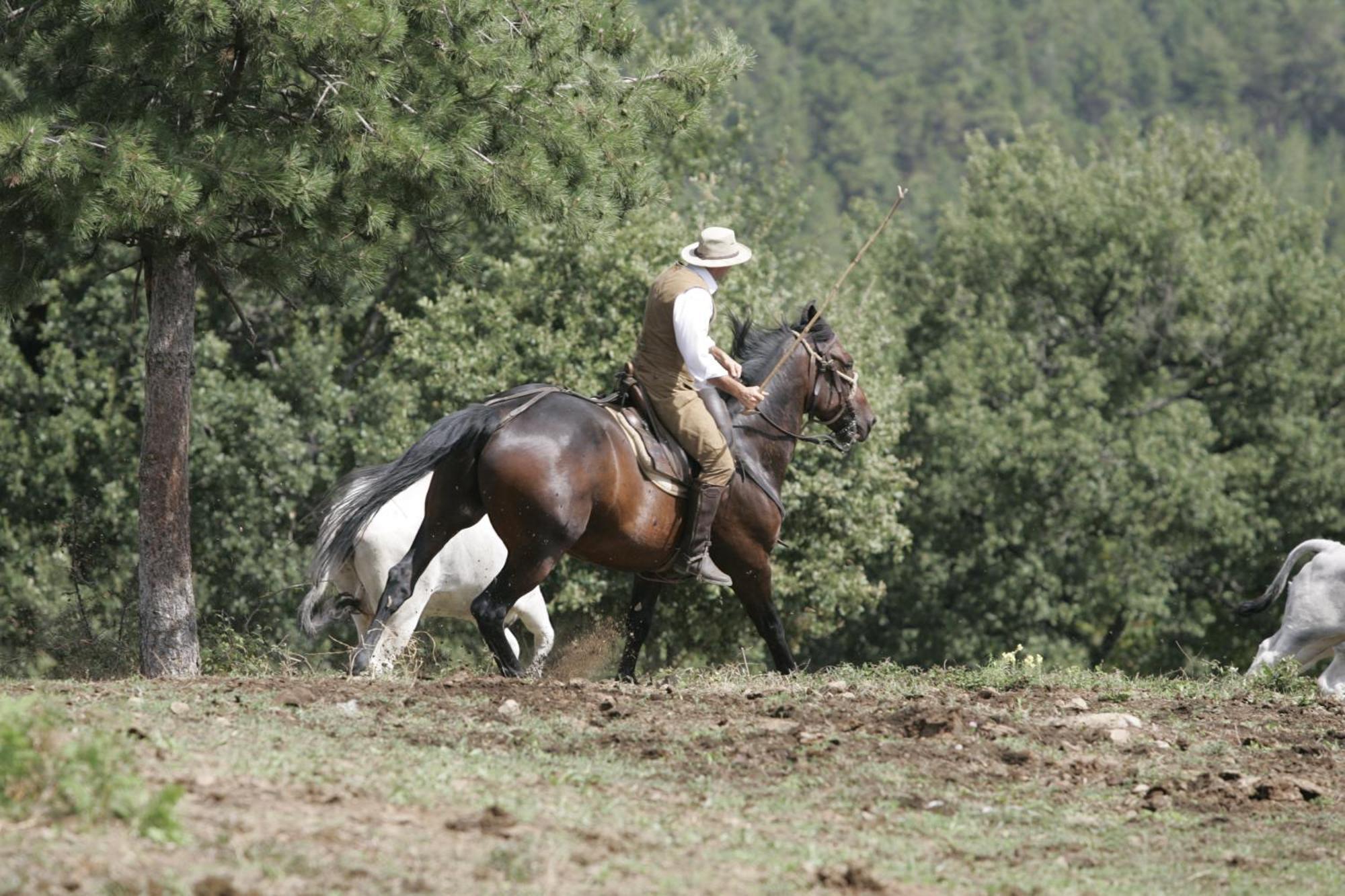 Agriturismo La Forra Cavriglia Bagian luar foto