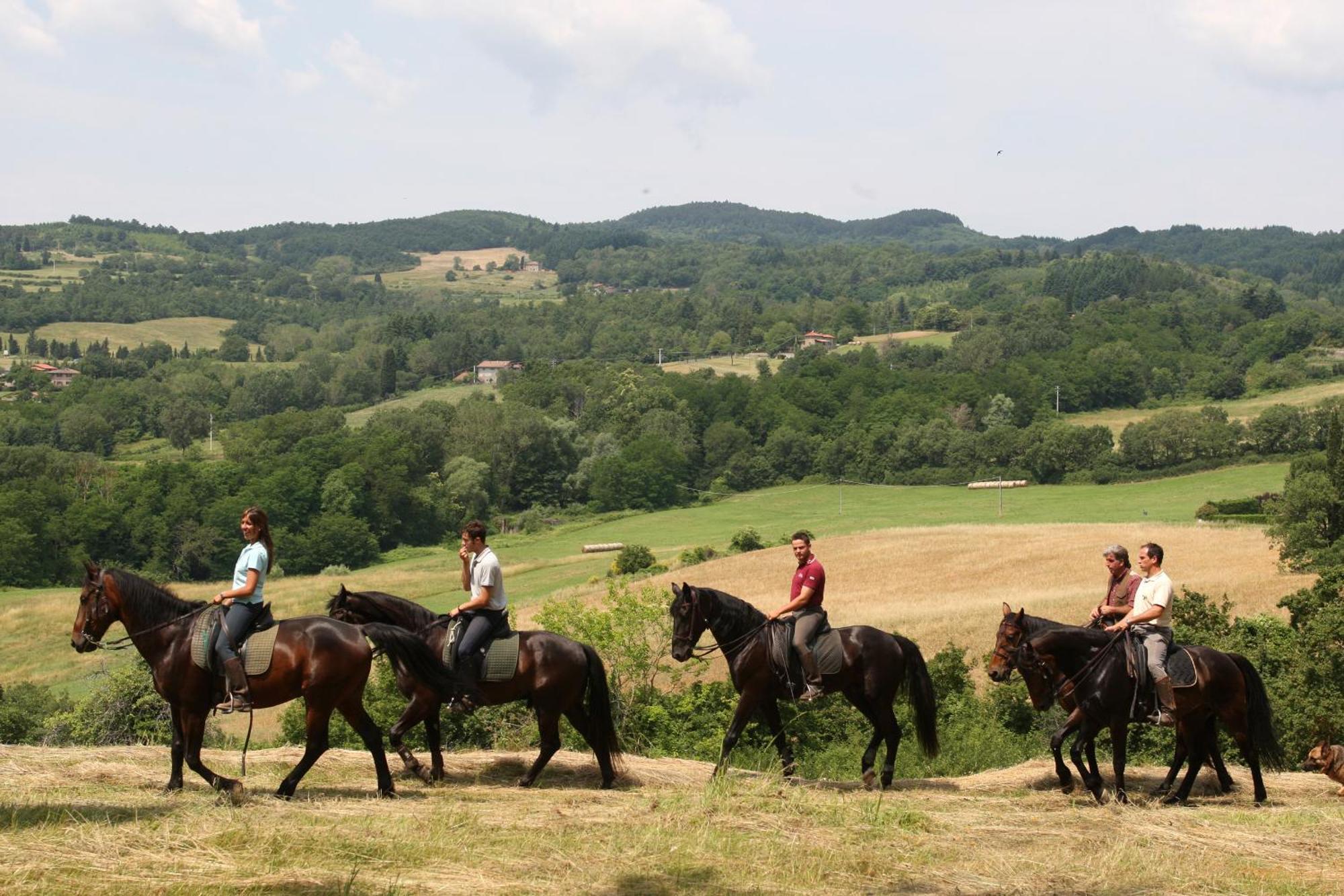 Agriturismo La Forra Cavriglia Bagian luar foto