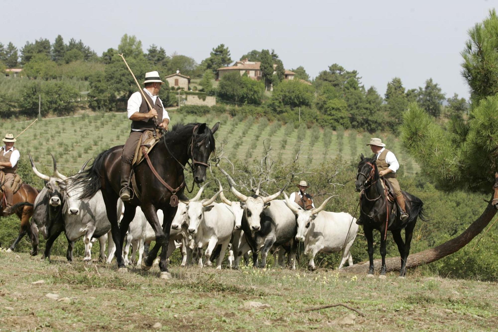 Agriturismo La Forra Cavriglia Bagian luar foto
