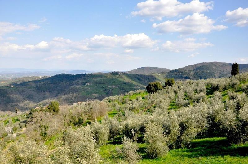 Agriturismo La Forra Cavriglia Ruang foto